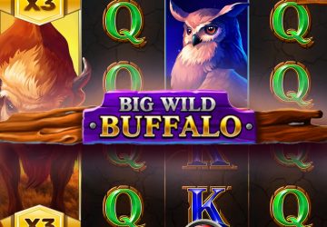 Слот Big Wild Buffalo в казино 1хБет