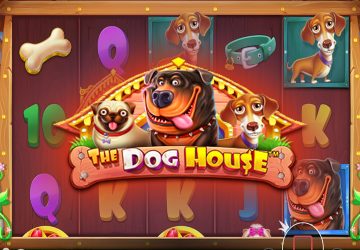 Слот The Dog House в казино 1хБет